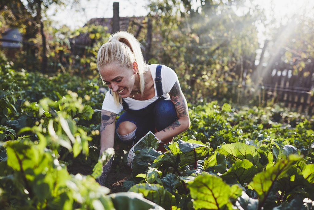 Junge Frau hockt im Gemüsebeet und macht Gartenarbeit