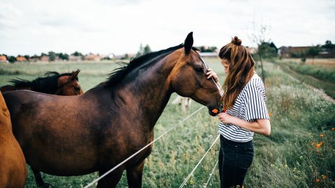 Frau mit einem Pferd auf einer Koppel
