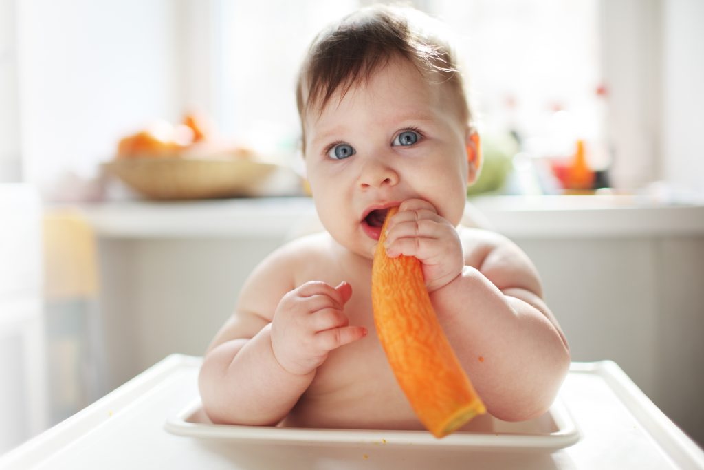 Baby knabbert an einer großen Karotte