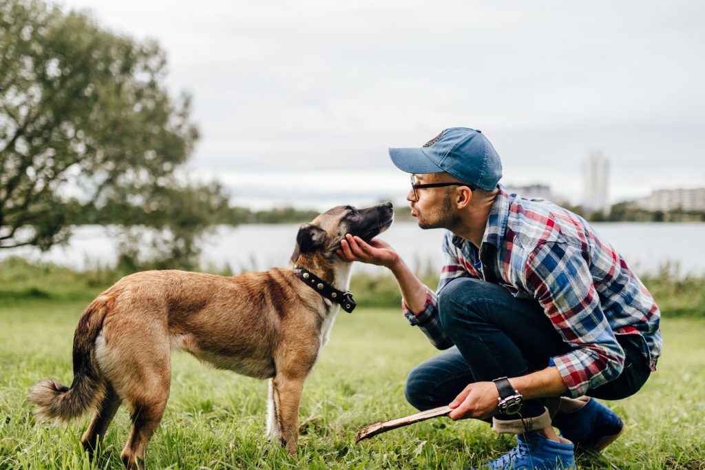 Mann mit Stöckchen in der Hand und ihm gegenüber steht ein Hund