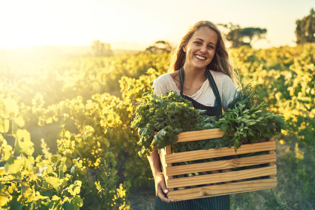 Junge Frau auf einem Feld trägt eine Holzkiste mit frisch geerntetem Gemüse
